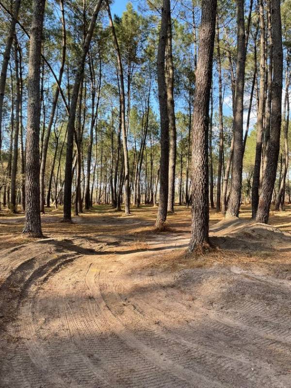 Randonnée : Pumptrack