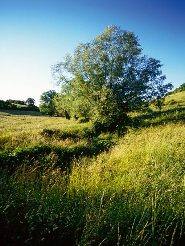 Randonnée : Le moulin d'Arcisses