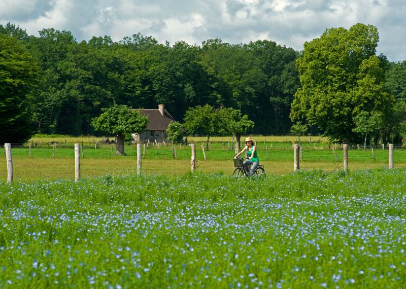 Randonnée : Voie verte de Lisores à Livarot