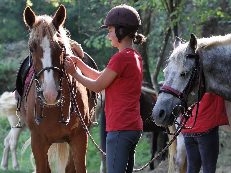 Randonnée : Le Circuit du Cheval de Pierre