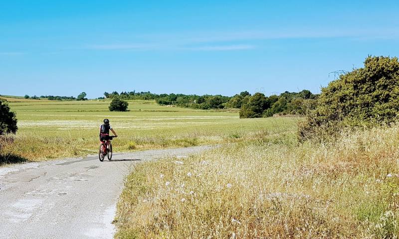 Randonnée : BOUCLE CYCLO N°22 - BALADE AU SUD DU CANAL DU MIDI
