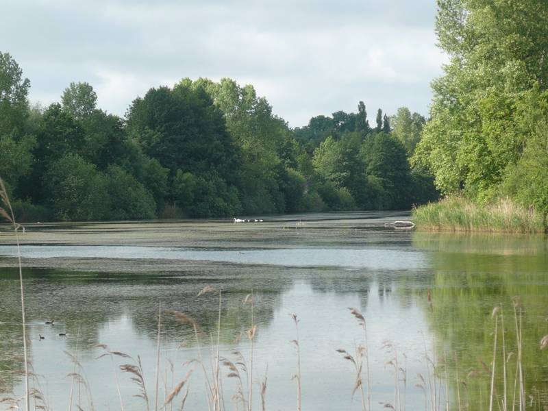Randonnée : PR 6 Circuit des étangs de Givry