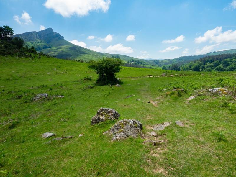 Randonnée : Circuit des palombières / Usategietako itzulia