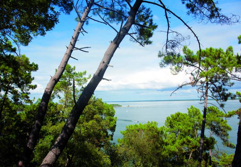 Randonnée : Le sentier du Lac à Maubuisson