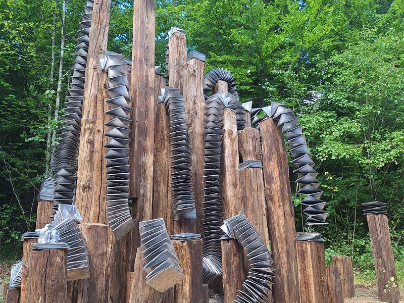 Randonnée : Vent des Forêts