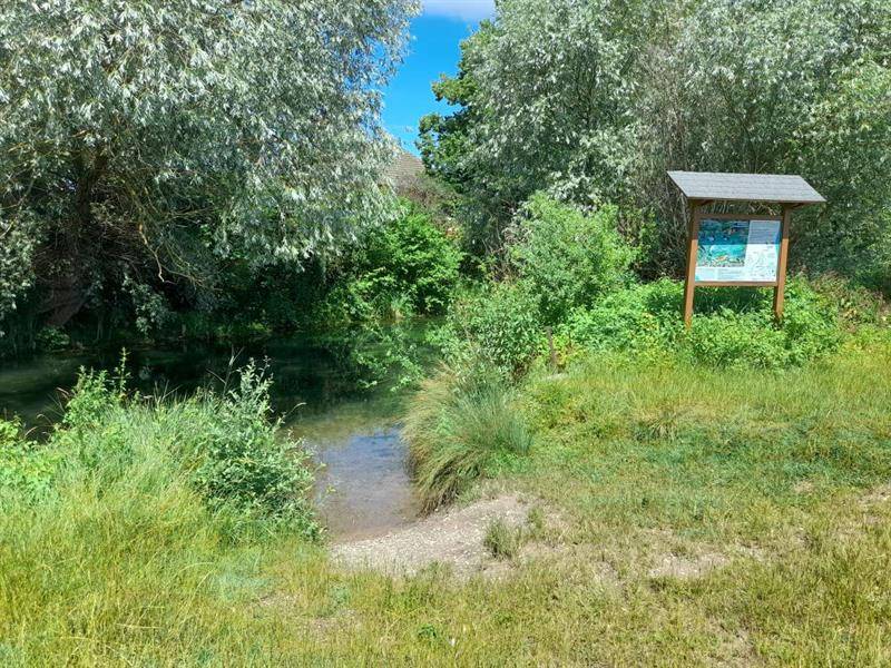 Randonnée : Circuit en canoë sur le Brunnwasser de Rhinau à Gerstheim