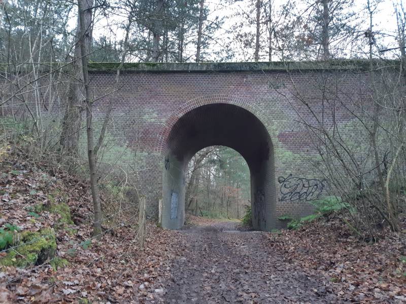 Randonnée : Plailly, des champs aux bois