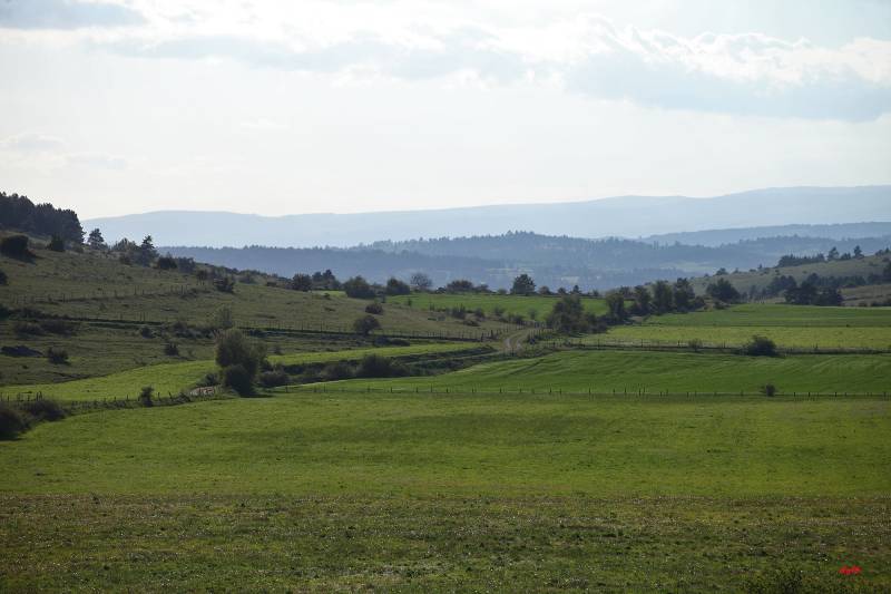 Randonnée : SENTIER LES DEUX FERMES DU CAUSSE NOIR