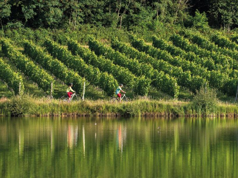 Randonnée : Aydie, au cœur du vignoble à VTT