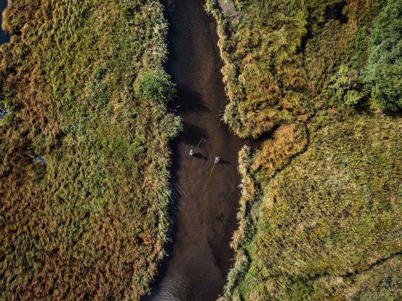 Randonnée : PARCOURS "NO KILL" SUR LA COLAGNE