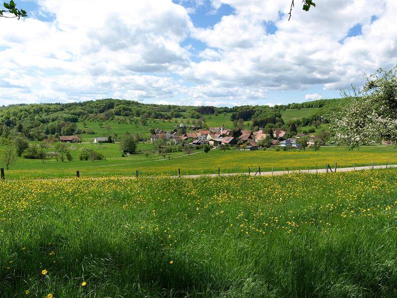 Randonnée : Randonnée pédestre: Bendorf  la grotte du Dr Herrings et le Kastelberg