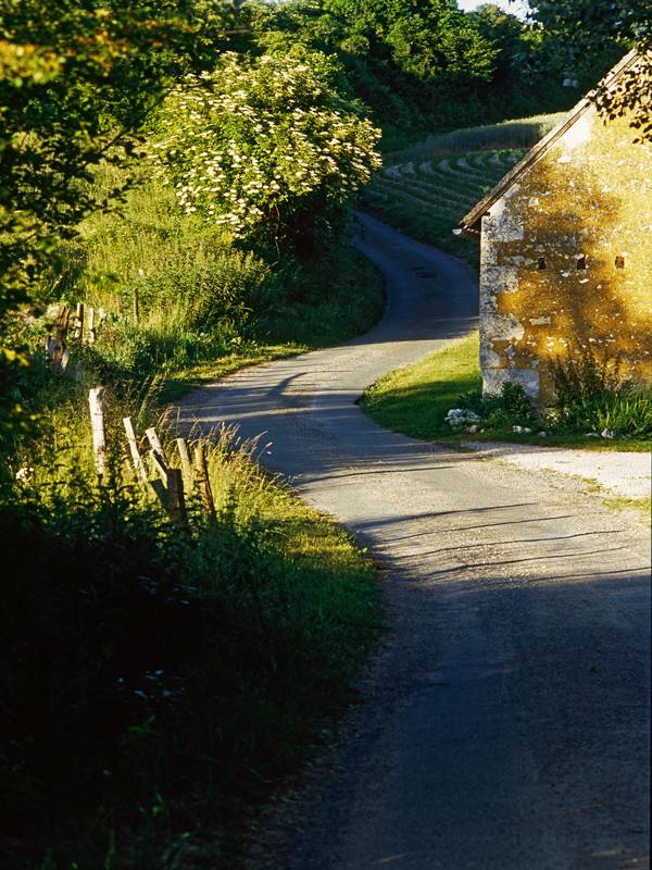 Randonnée : Le moulin de Crignon