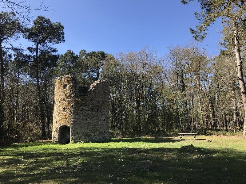 Randonnée : Donjon et moulin de Pirou - Randonnée