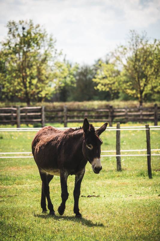 Randonnée : Le tour du Pôle du Cheval et de l'Âne