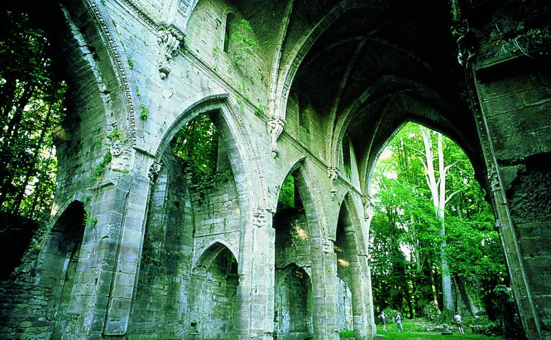 Randonnée : PR 36 Circuit des gouffres de Trois Fontaines