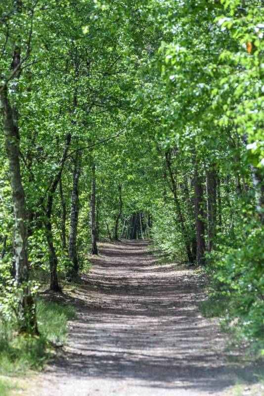 Randonnée : Boucle 05 - Entre plaines et forêts