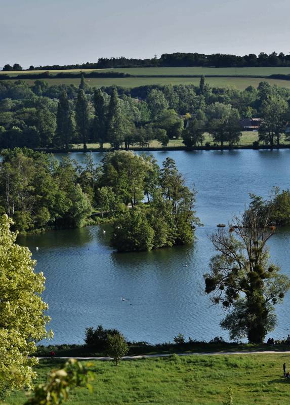 Randonnée : Sentier entre plans d'eau de Fontenay et forêt