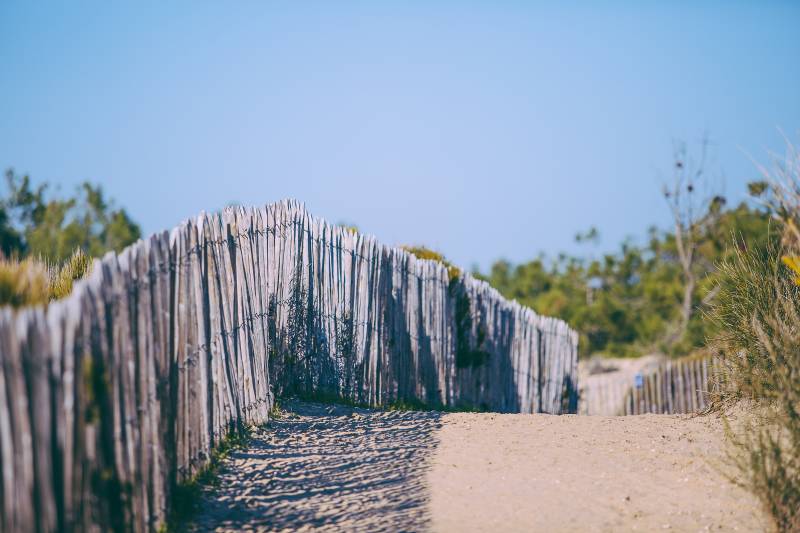 Randonnée : L'abécédaire des Dunes du Cap Ferret