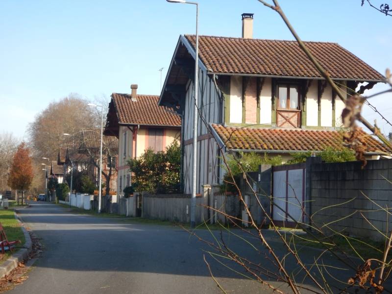 Randonnée : A l'orée des bois - VTC