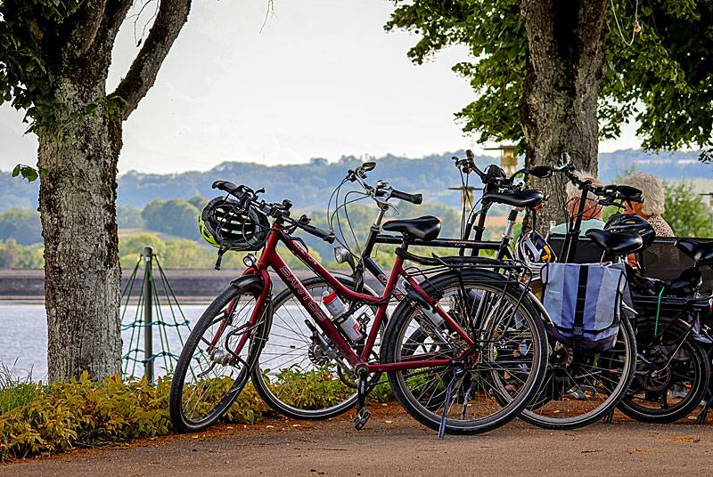 Randonnée : De Saint-Dizier au Lac du Der