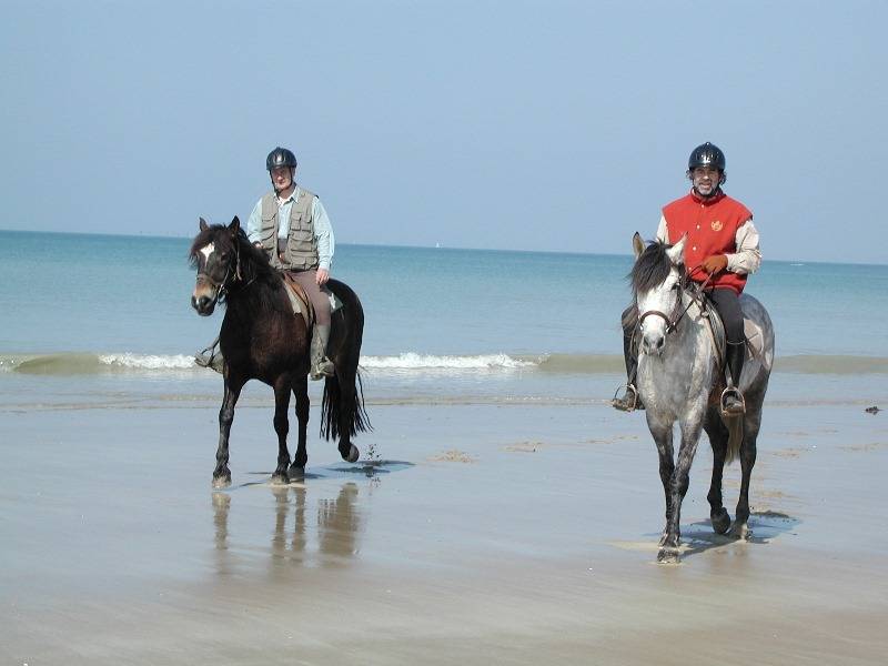 Randonnée : Patrimoine à cheval en Baie du Mont-Saint-Michel - Etape 2/3 : Champeaux - Le Val-Saint-Père
