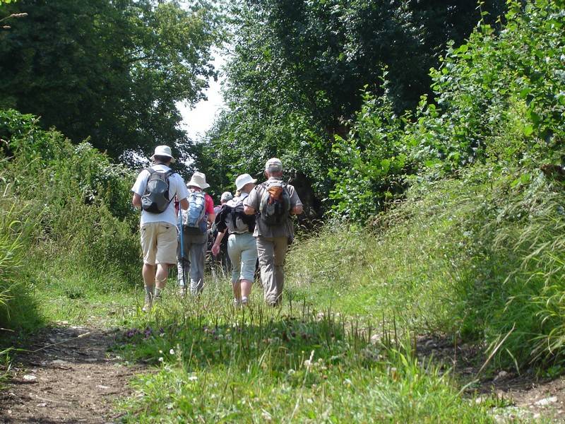 Randonnée : MONTVIETTE : La Canteraine - 7,4KM