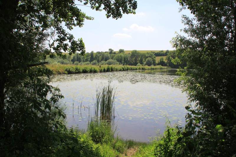 Randonnée : Sentier découverte du Vieil-Étang de Bairon