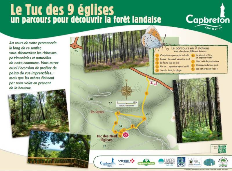 Randonnée : A Capbreton, parcours pédagogique du Tuc