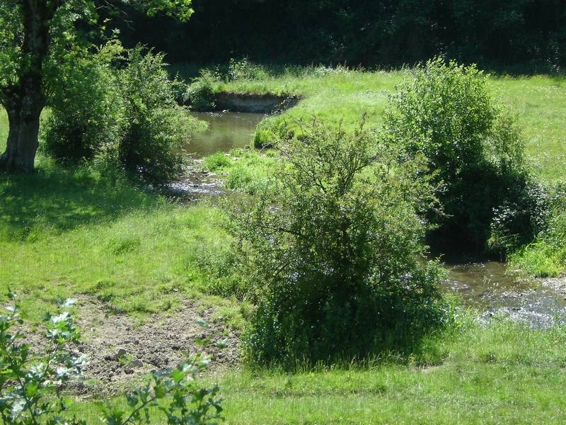 Randonnée : La Vallée de la Baize