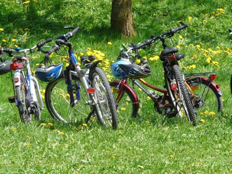 Randonnée : Circuit VTT "La Faux"