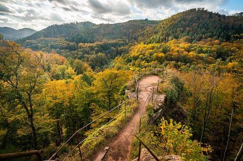 Randonnée : Sentier autour du Wasigenstein