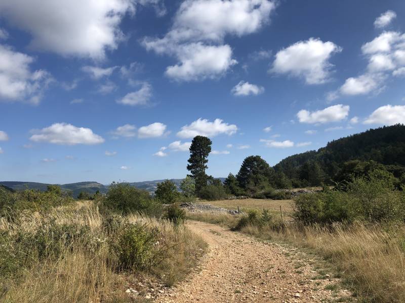 Randonnée : CAUSSE DE SAUVETERRE DIRECTION LA BASTISSE ET LES ARTS