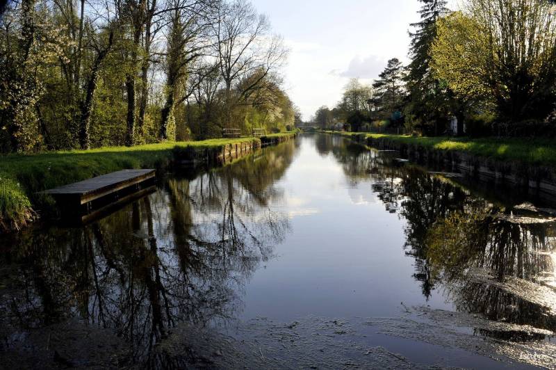 Randonnée : Canal d'Orléans à vélo étape M. Vieilles-Maisons-sur-Joudry / Chalette -sur-Loing