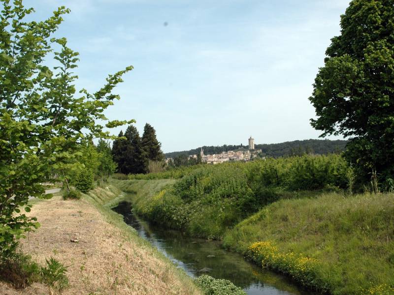 Randonnée : Barbentane : Vert et eau
