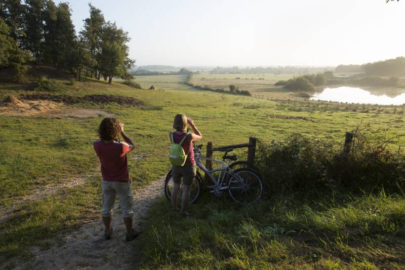 Randonnée : la Cyclo Bohème - Antenne Buzançais . Les étangs de la Brenne