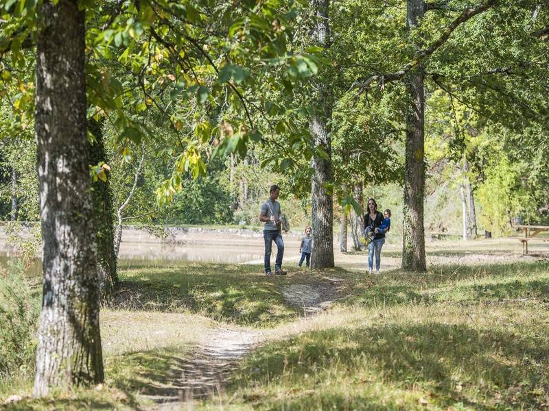 Randonnée : Sentiers de la Forêt de Tours-Preuilly