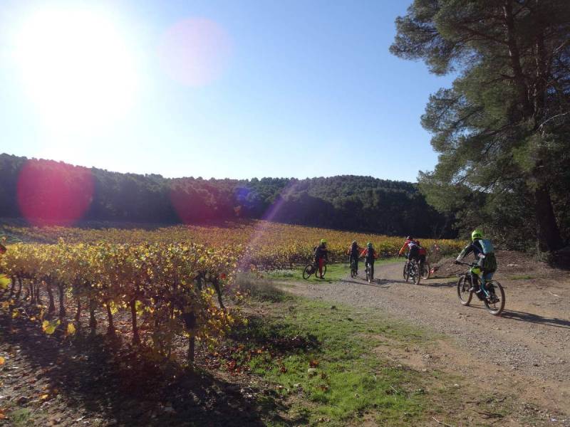 Randonnée : VTT n°30 - Entre vignes et oliviers