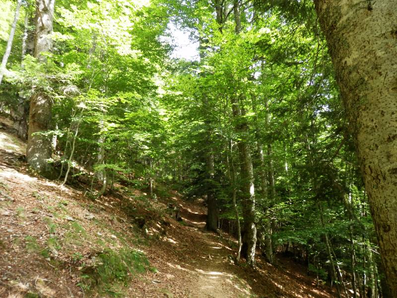 Randonnée : La cabane de Chérue