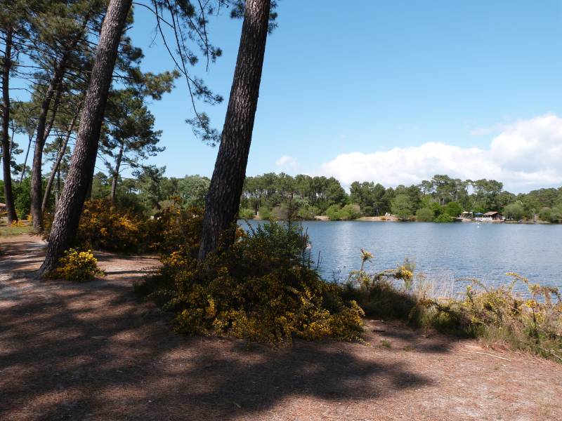 Randonnée : Balade à roulettes : Le lac de la Magdeleine - Impraticable