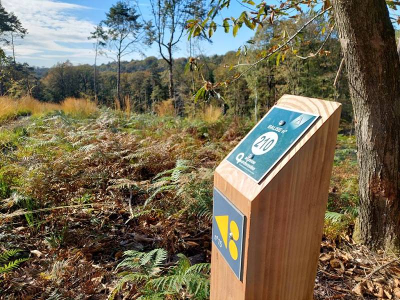 Randonnée : Sentier des deux Étangs