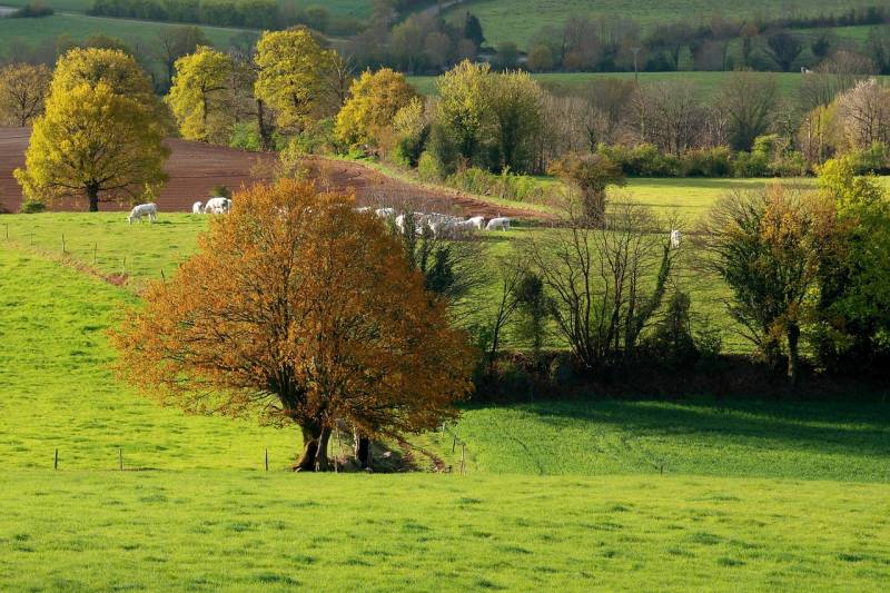 Randonnée : Entre le moulin et la fontaine