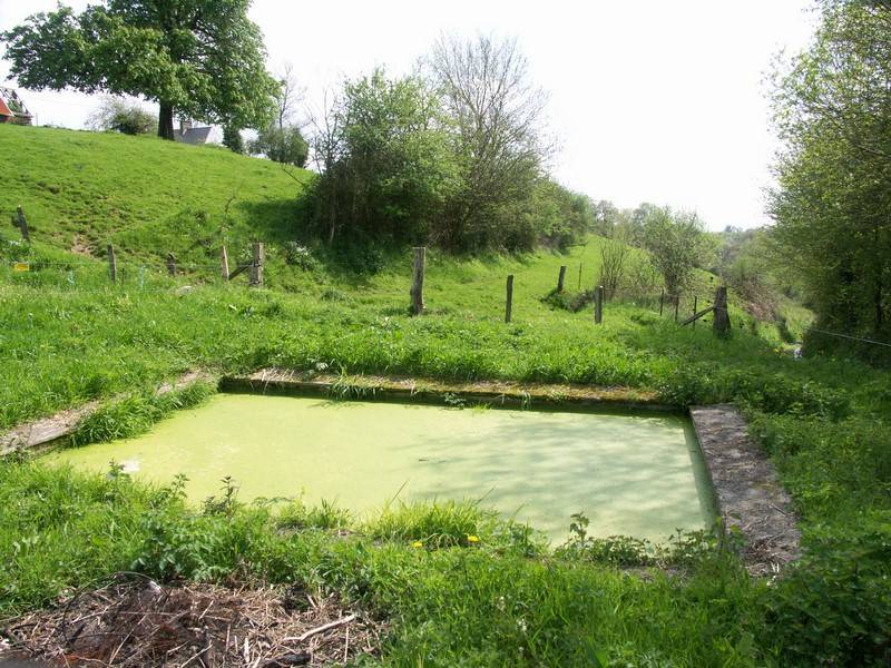 Randonnée : Le circuit des lavoirs