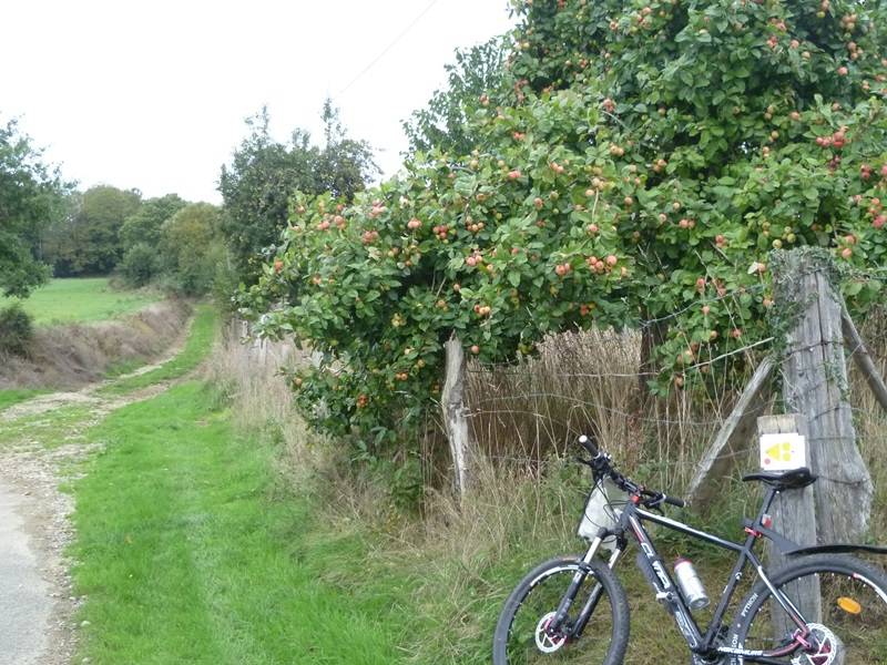 Randonnée : La Vallée de la Sélune