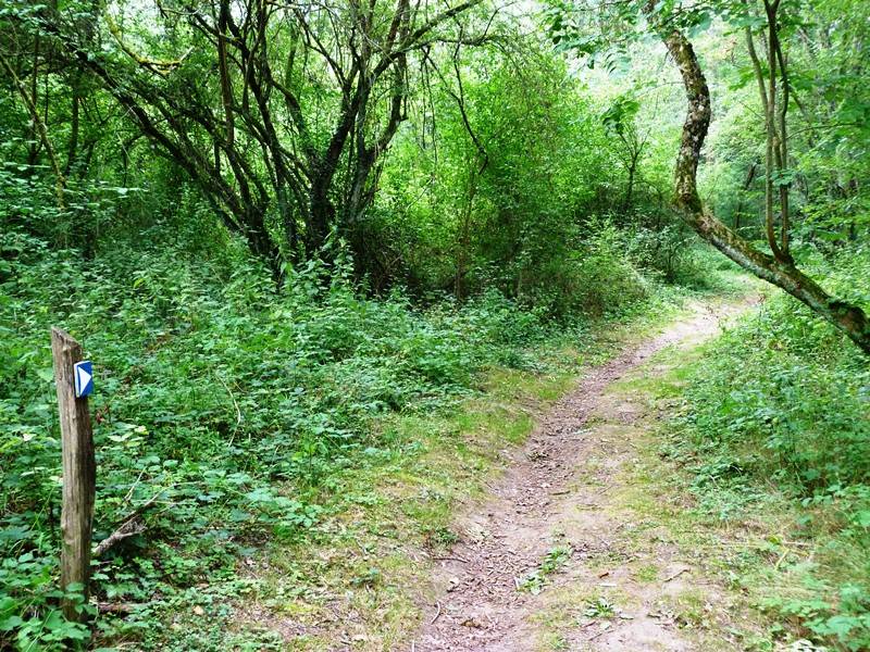 Randonnée : Stevenson | sentier autour de Châtillon-sur-Loire