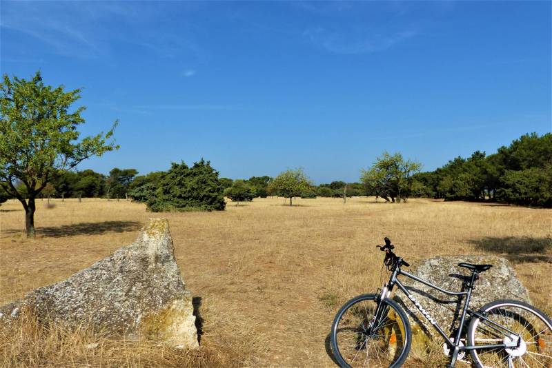 Randonnée : SAINT-RÉMY-DE-PROVENCE - La Routo : pèr draio e pèr camin à VTT