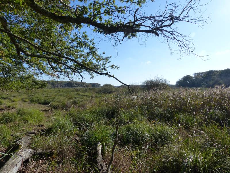 Randonnée : Le sentier du Marais du Gua