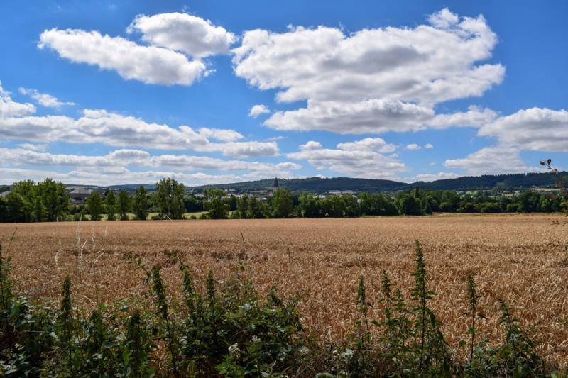 Randonnée : Le circuit des Monts
