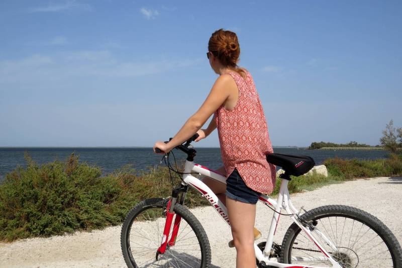 Randonnée : ARLES - À la découverte du Vaccarès à vélo
