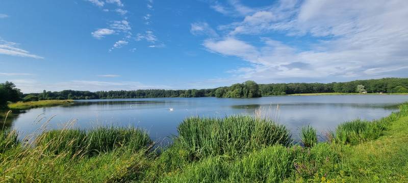 Randonnée : Brandes et bois Saint-Martial