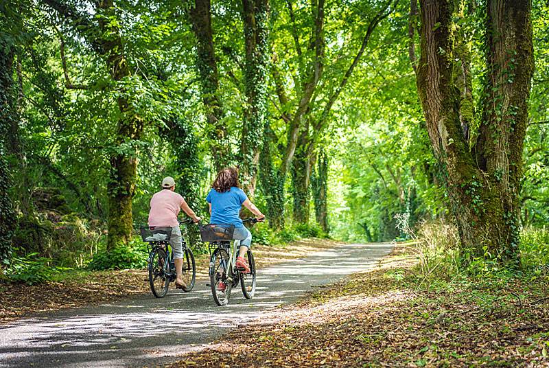 Randonnée : Saint-Jacques à vélo via Vézelay – V56